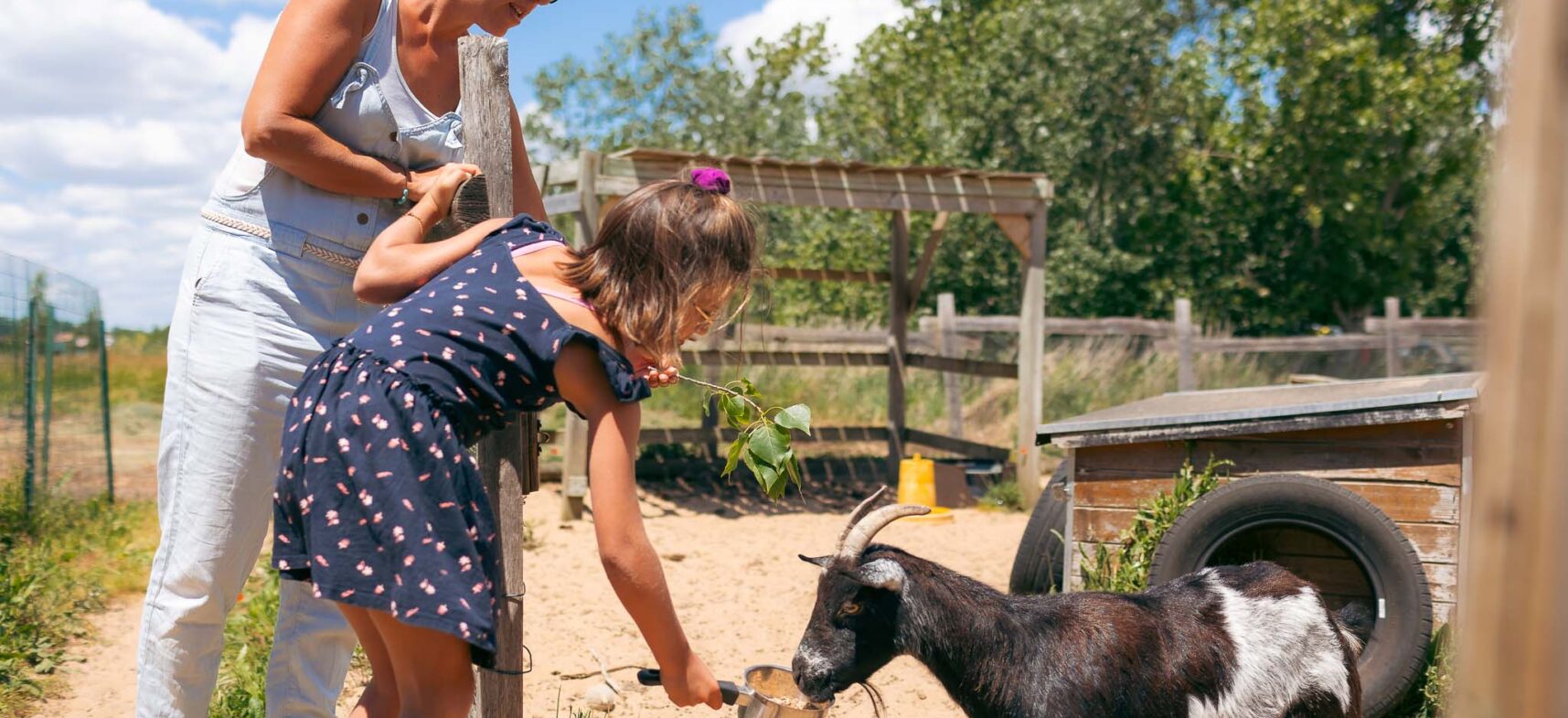 Camping Grand Pré : Camping Le Jard Et Bois Soleil Juin 2024 120