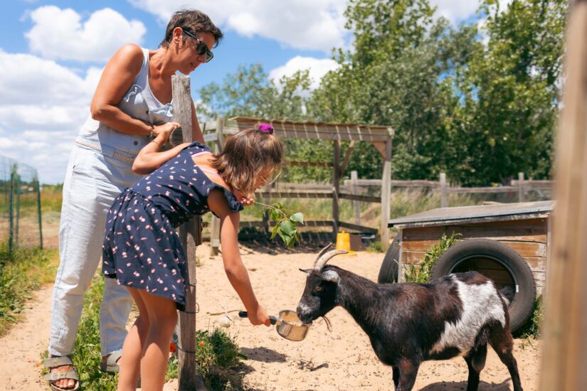Camping Grand Pré : Camping Le Jard Et Bois Soleil Juin 2024 120