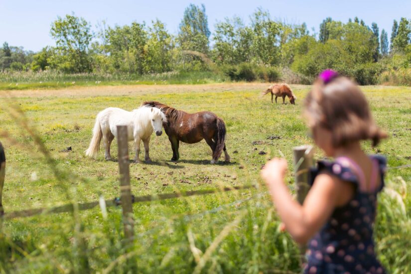 Camping Grand Pré : Camping Le Jard Et Le Grand Pré Juin 2024 00124